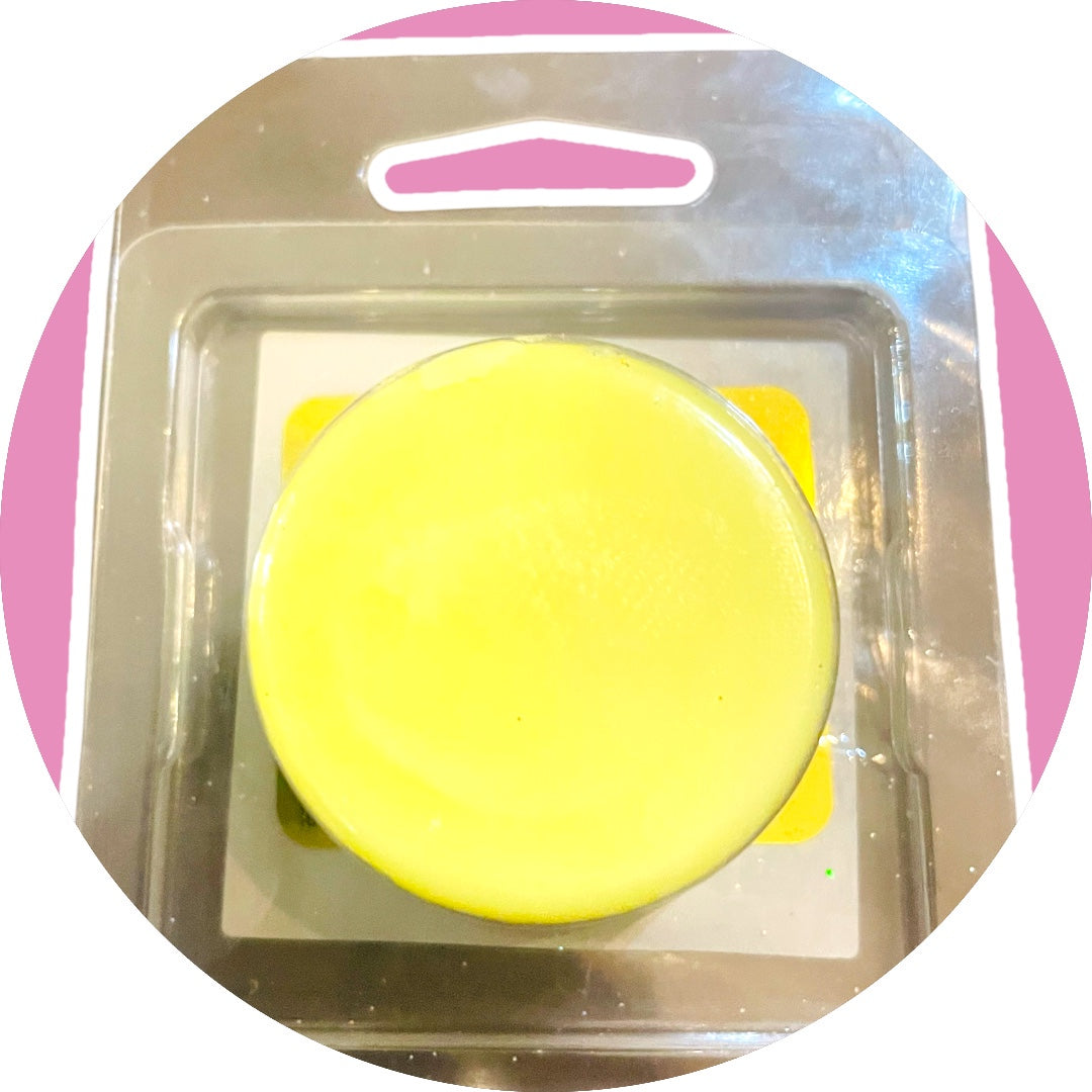 Zodiac Pieces Tart Melt Sample