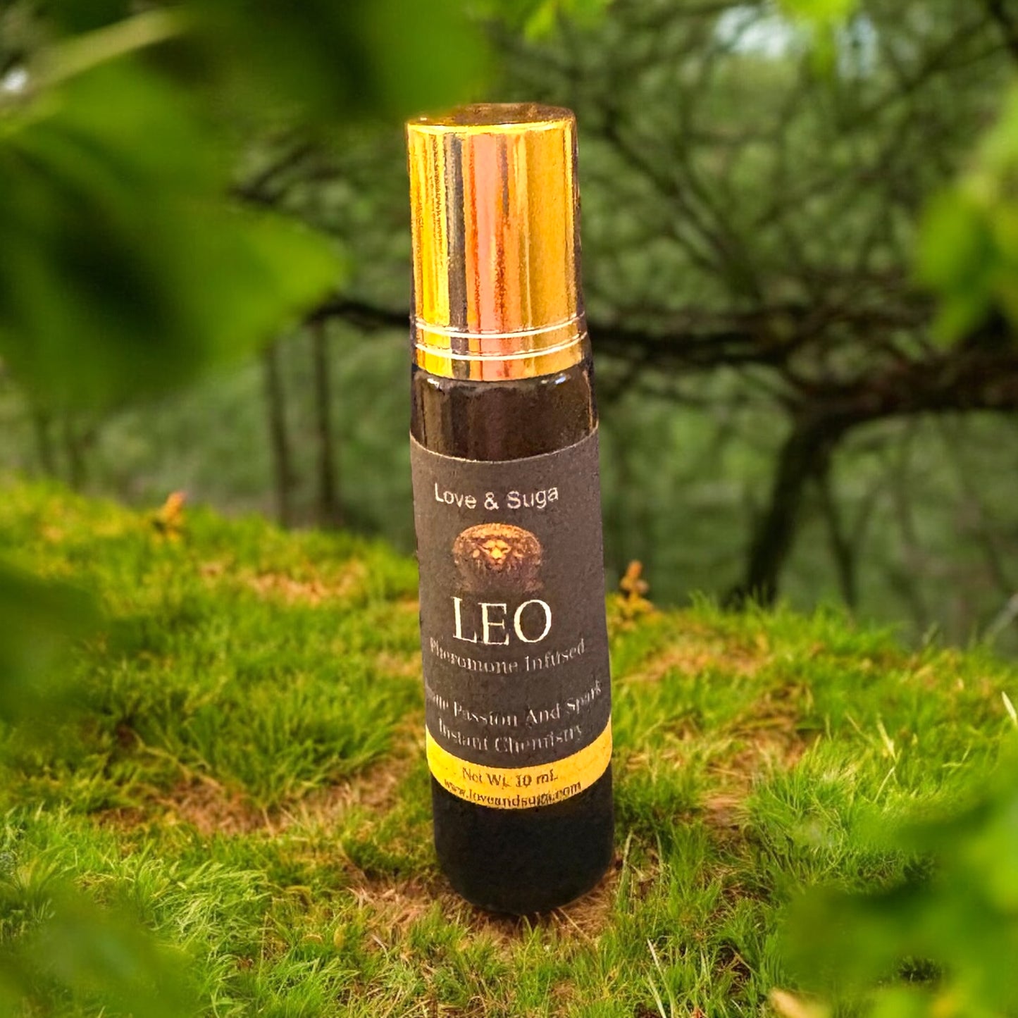 Leo